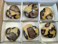 Polished Septerye Hearts x 6 From Mahajanga, Madagascar