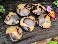 Polished Septerye Hearts x 6 From Mahajanga, Madagascar