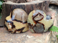 Polished Septerye Hearts x 6 From Mahajanga, Madagascar