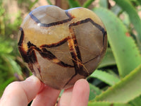 Polished Septerye Hearts x 6 From Mahajanga, Madagascar