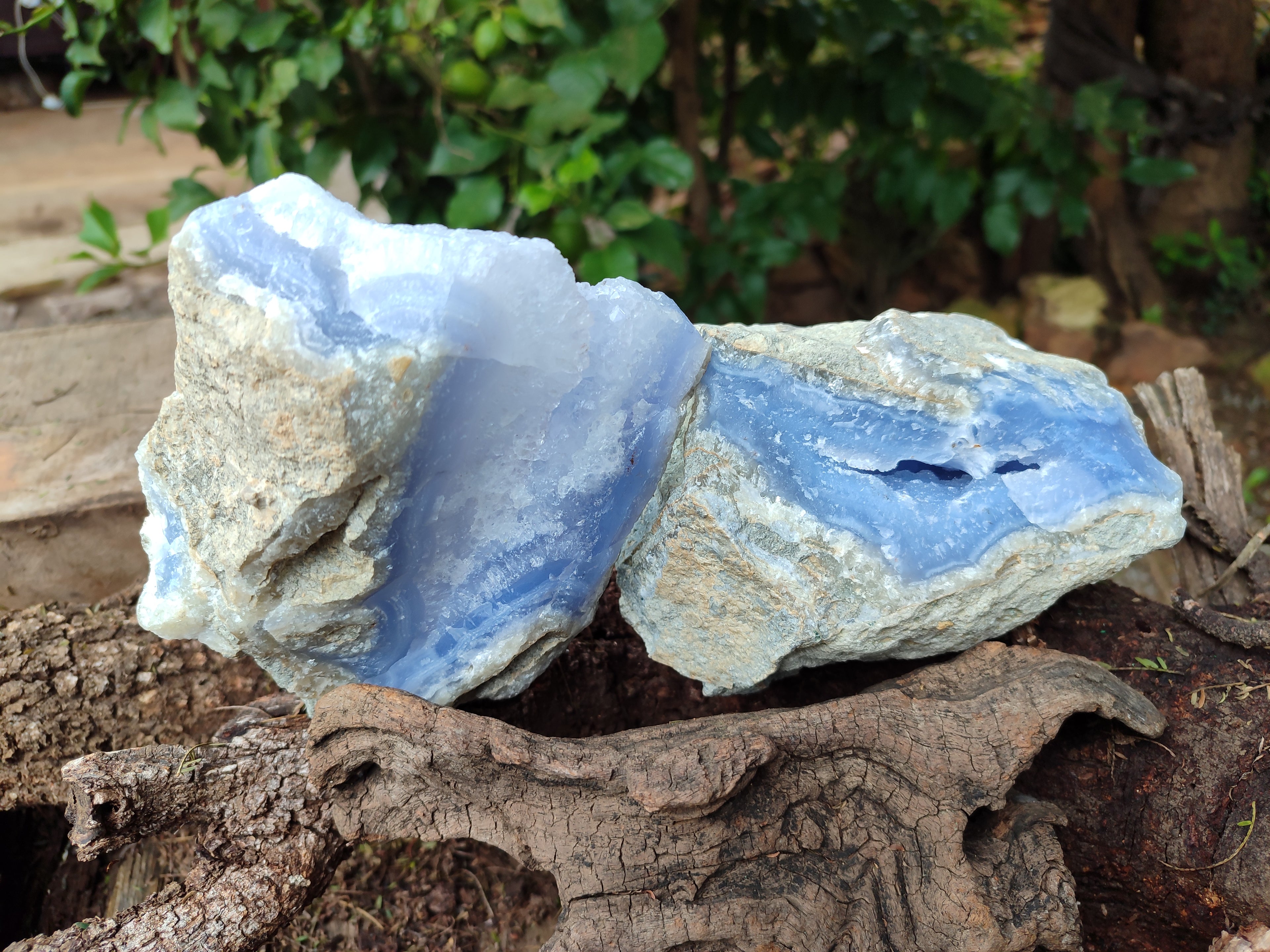 Natural Blue Lace Agate Geode Specimens x 2 From Nsanje, Malawi - Toprock Gemstones and Minerals 