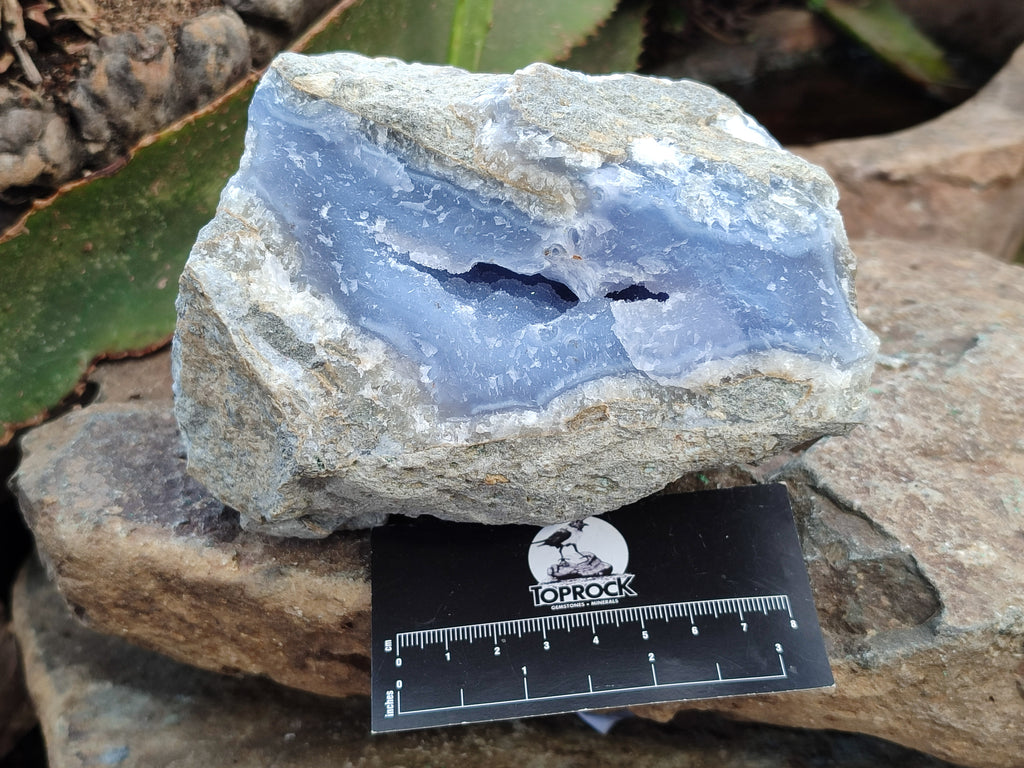Natural Blue Lace Agate Geode Specimens x 2 From Nsanje, Malawi - Toprock Gemstones and Minerals 