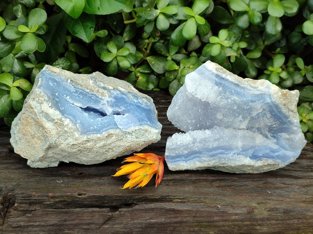 Natural Blue Lace Agate Geode Specimens x 2 From Nsanje, Malawi - Toprock Gemstones and Minerals 