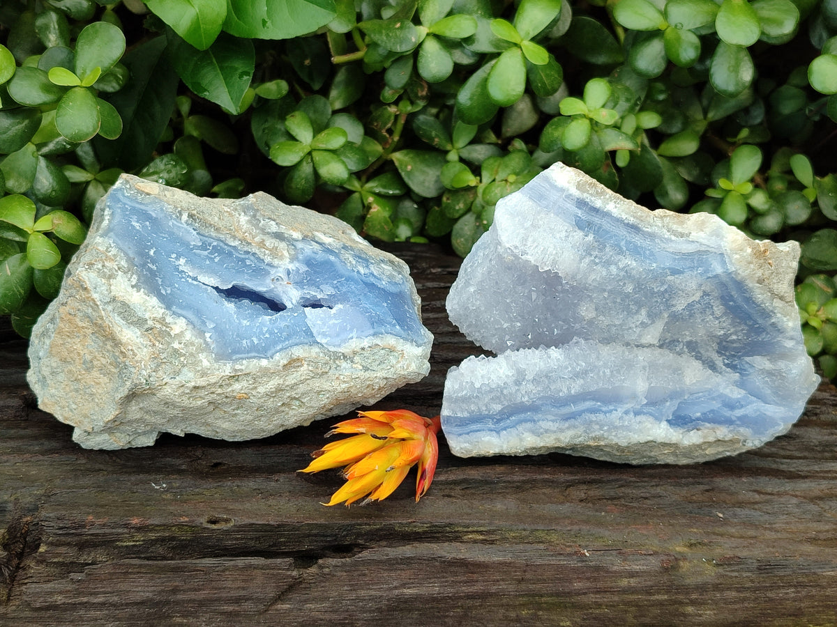 Natural Blue Lace Agate Geode Specimens x 2 From Nsanje, Malawi - Toprock Gemstones and Minerals 