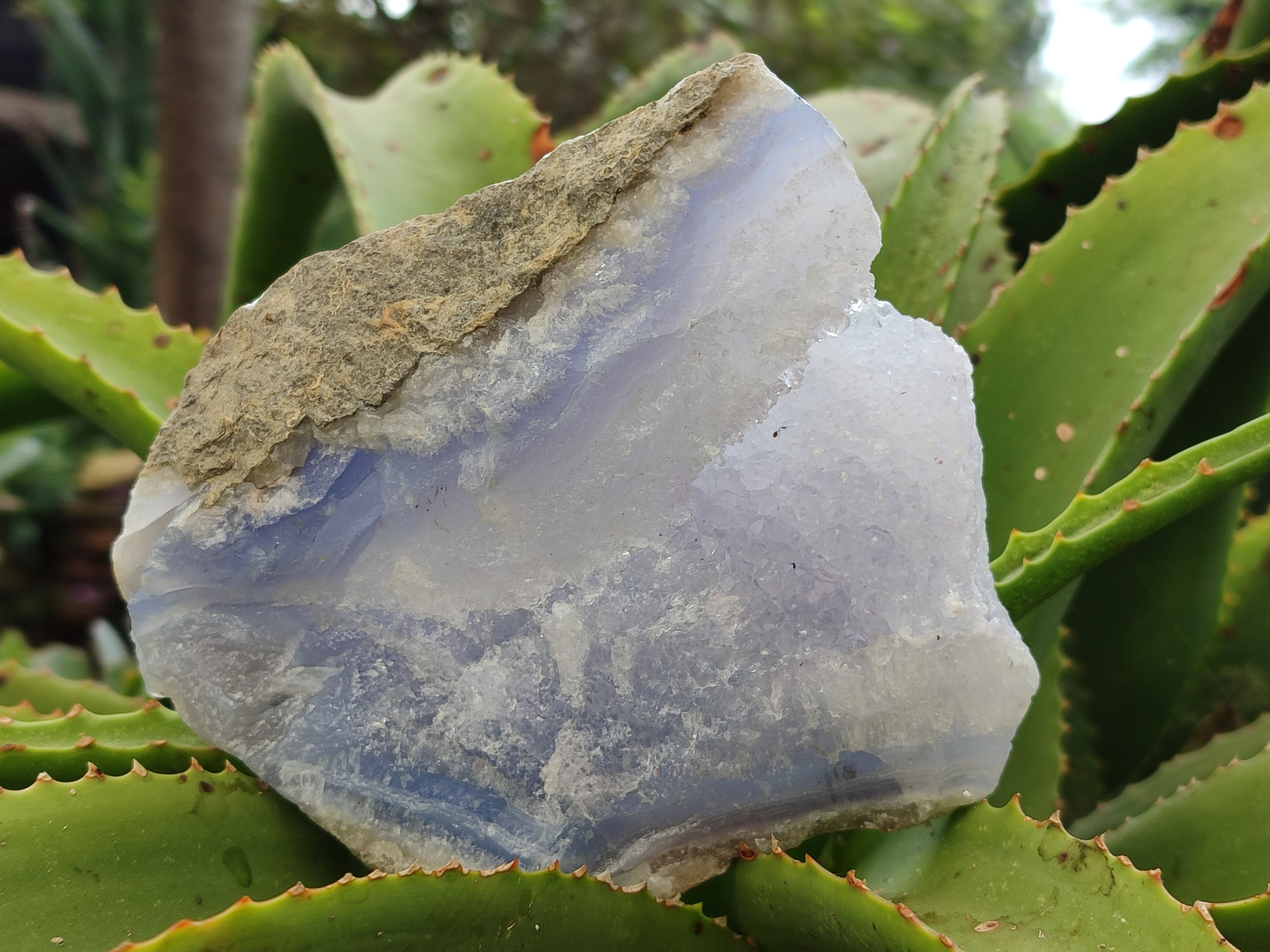 Natural Blue Lace Agate Geode Specimens x 2 From Nsanje, Malawi - Toprock Gemstones and Minerals 