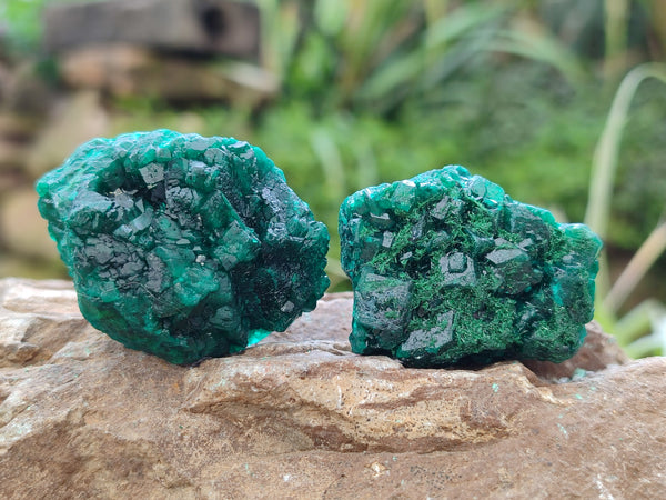 Natural Dioptase with Silky Malachite On Dolomite Specimens x 6 From Likasi, Congo