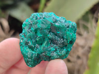 Natural Dioptase with Silky Malachite On Dolomite Specimens x 6 From Likasi, Congo