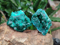 Natural Dioptase with Silky Malachite On Dolomite Specimens x 6 From Likasi, Congo