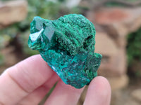 Natural Dioptase with Silky Malachite On Dolomite Specimens x 6 From Likasi, Congo