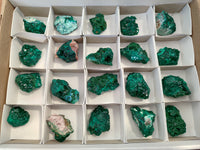 Natural Dioptase with Silky Malachite On Dolomite Specimens x 6 From Likasi, Congo