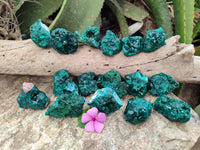 Natural Dioptase with Silky Malachite On Dolomite Specimens x 6 From Likasi, Congo