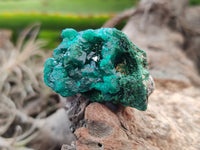 Natural Dioptase with Silky Malachite On Dolomite Specimens x 6 From Likasi, Congo