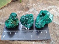 Natural Dioptase with Silky Malachite On Dolomite Specimens x 6 From Likasi, Congo