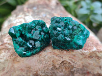 Natural Dioptase with Silky Malachite On Dolomite Specimens x 6 From Likasi, Congo