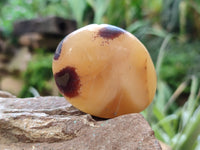 Polished Septerye Palm Stones x 24 From Mahajanga, Madagascar