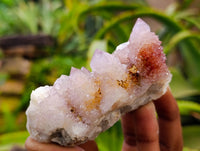 Natural Ametrine Spirit Quartz Clusters x 12 From Boekenhouthoek, South Africa