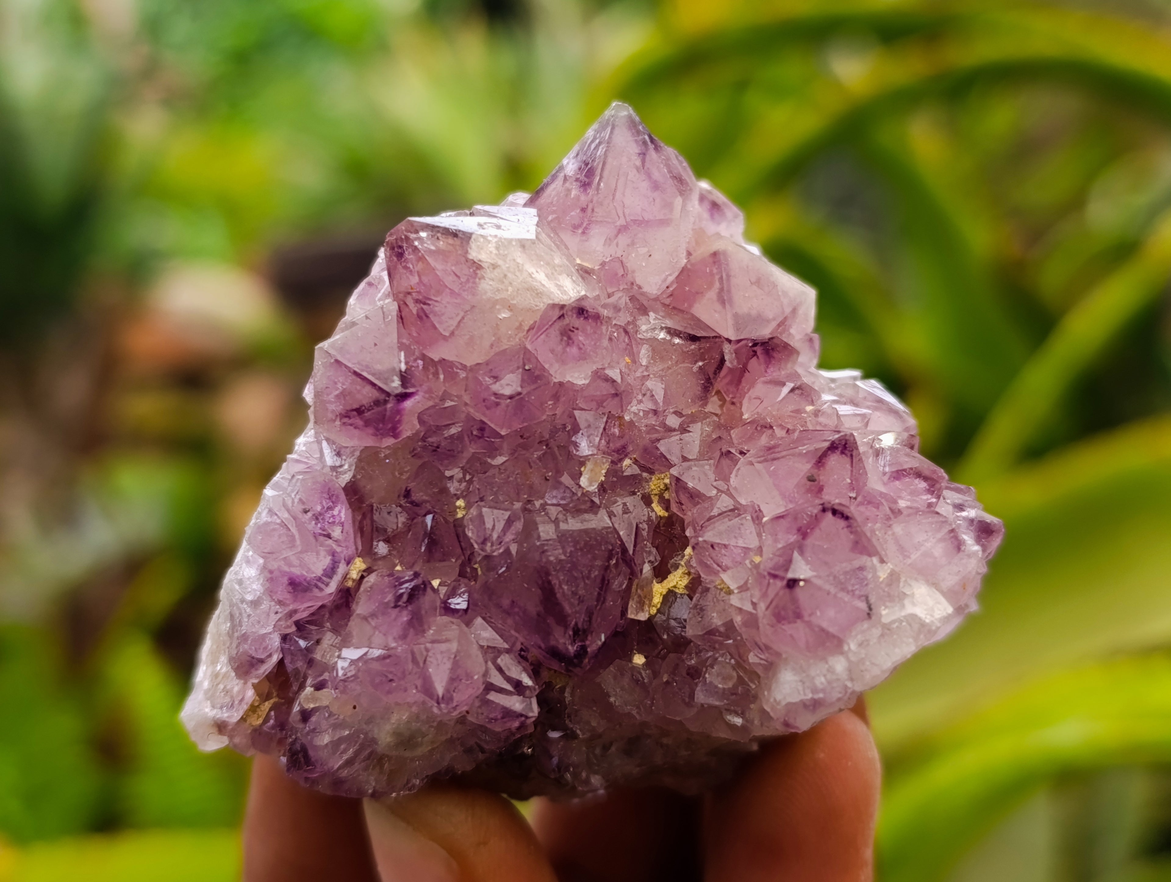 Natural Dark Purple Amethyst Spirit Quartz Clusters x 12 From Boekenhouthoek, South Africa - Toprock Gemstones and Minerals 
