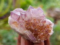 Natural Ametrine Spirit Quartz Clusters x 12 From Boekenhouthoek, South Africa