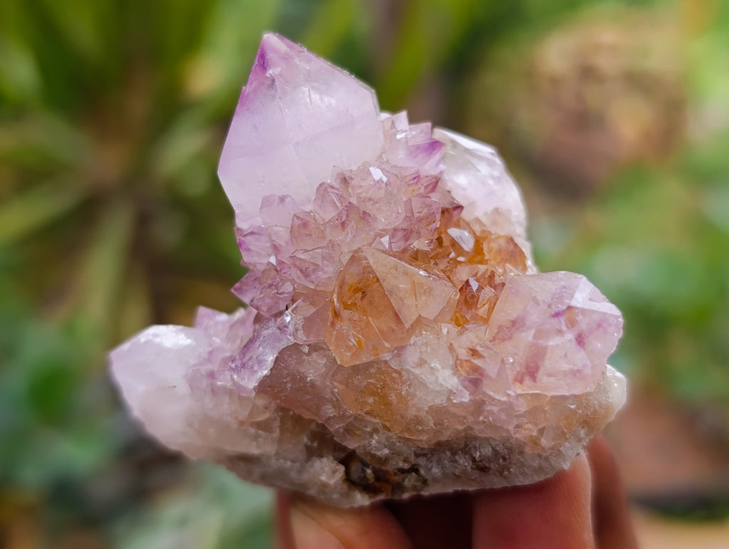 Natural Dark Purple Amethyst Spirit Quartz Clusters x 12 From Boekenhouthoek, South Africa - Toprock Gemstones and Minerals 