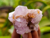 Natural Ametrine Spirit Quartz Clusters x 12 From Boekenhouthoek, South Africa