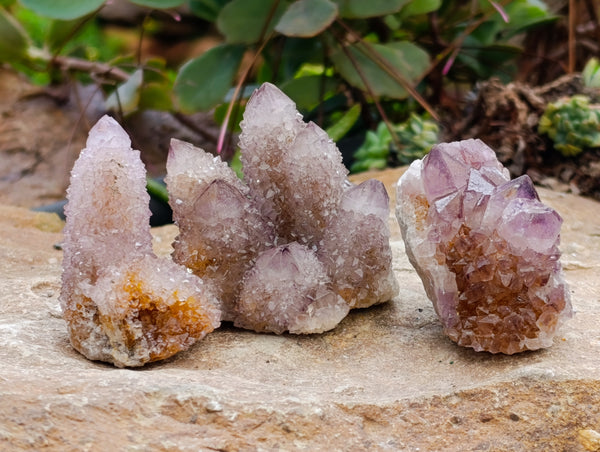 Natural Ametrine Spirit Quartz Clusters x 12 From Boekenhouthoek, South Africa