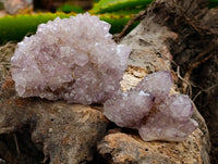 Natural Ametrine Spirit Quartz Clusters x 12 From Boekenhouthoek, South Africa
