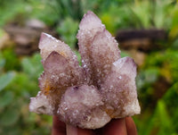 Natural Ametrine Spirit Quartz Clusters x 12 From Boekenhouthoek, South Africa