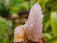 Natural Ametrine Spirit Quartz Clusters x 12 From Boekenhouthoek, South Africa