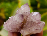 Natural Ametrine Spirit Quartz Clusters x 12 From Boekenhouthoek, South Africa