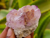 Natural Ametrine Spirit Quartz Clusters x 12 From Boekenhouthoek, South Africa