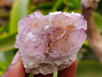 Natural Ametrine Spirit Quartz Clusters x 12 From Boekenhouthoek, South Africa