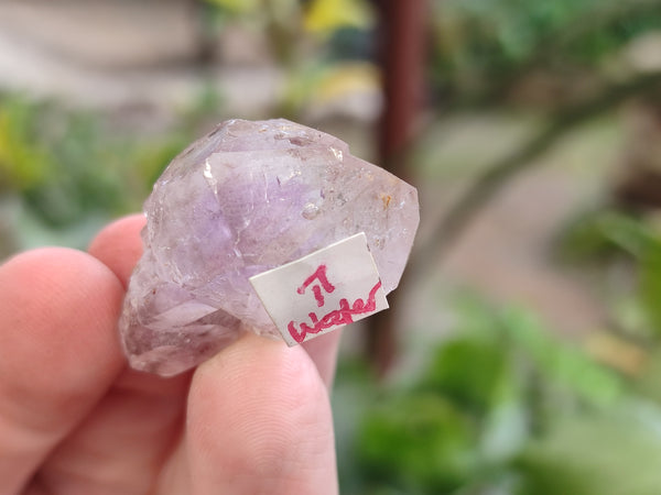 Natural Zululand Amethyst Single Crystals x 35 From Zululand, South Africa