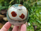 Polished Polychrome Jasper Spheres x 3 From Northwest Coast, Madagascar - Toprock Gemstones and Minerals 