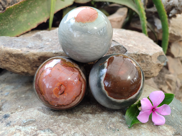 Polished Polychrome Jasper Spheres x 3 From Northwest Coast, Madagascar