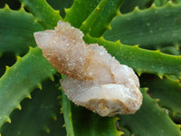 Natural Ametrine Spirit Quartz Clusters x 35 From Boekenhouthoek, South Africa