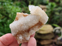 Natural Ametrine Spirit Quartz Clusters x 35 From Boekenhouthoek, South Africa