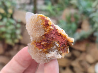 Natural Ametrine Spirit Quartz Clusters x 35 From Boekenhouthoek, South Africa
