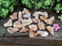 Natural Ametrine Spirit Quartz Clusters x 35 From Boekenhouthoek, South Africa