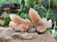 Natural Ametrine Spirit Quartz Clusters x 35 From Boekenhouthoek, South Africa