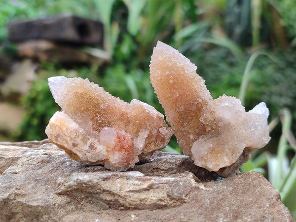 Natural Ametrine Spirit Quartz Clusters x 35 From Boekenhouthoek, South Africa