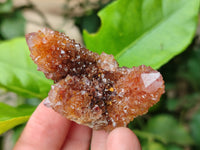 Natural Ametrine Spirit Quartz Clusters x 35 From Boekenhouthoek, South Africa
