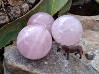 Polished Rose Quartz Spheres x 3 From Ambatondrazaka, Madagascar