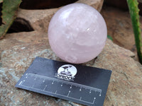 Polished Rose Quartz Spheres x 3 From Ambatondrazaka, Madagascar