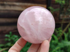 Polished Rose Quartz Spheres x 3 From Ambatondrazaka, Madagascar - Toprock Gemstones and Minerals 