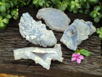 Natural Etched Blue Chalcedony Specimens x 4 From Nsanje, Malawi - Toprock Gemstones and Minerals 