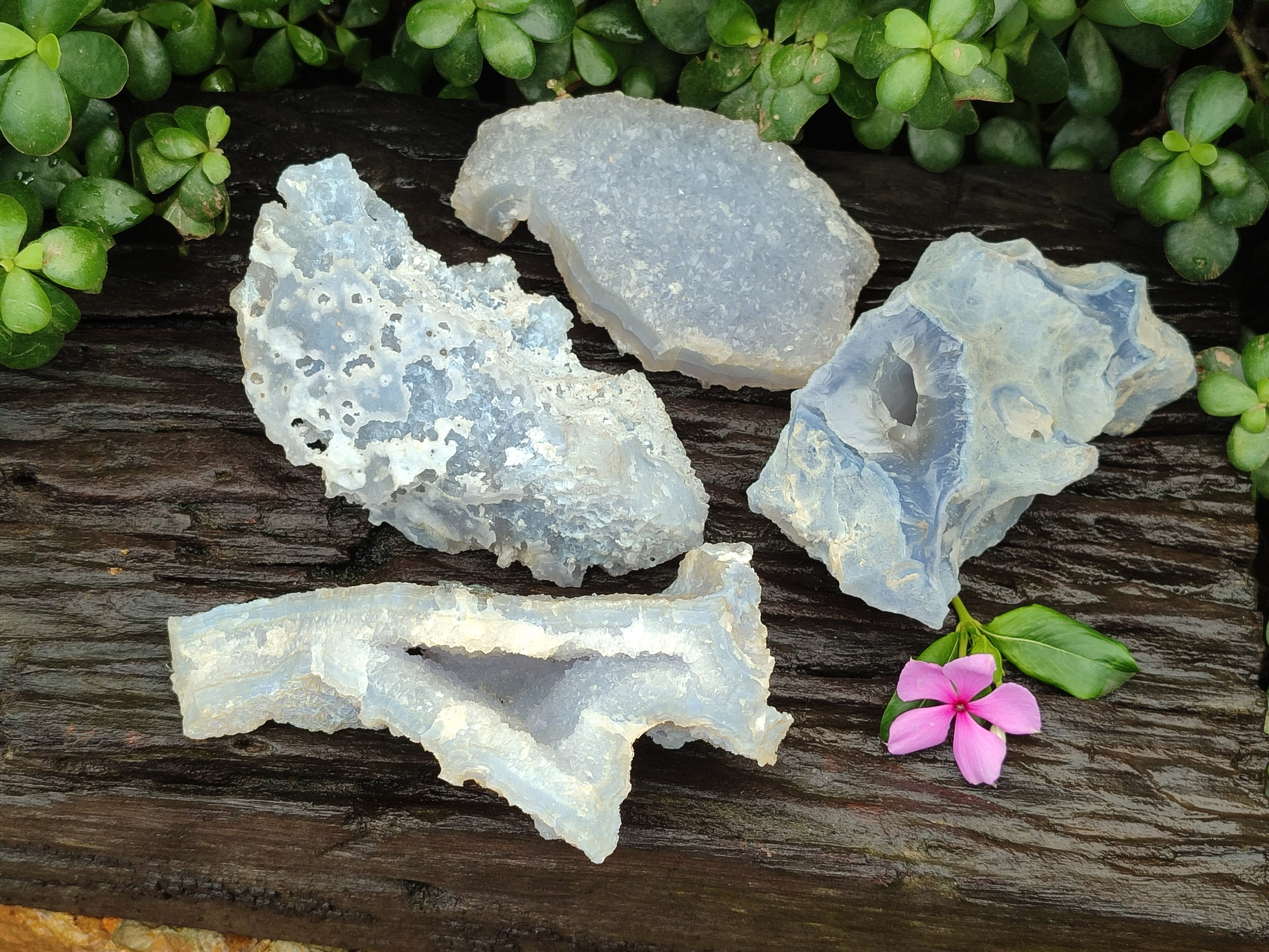 Natural Etched Blue Chalcedony Specimens x 4 From Nsanje, Malawi - Toprock Gemstones and Minerals 