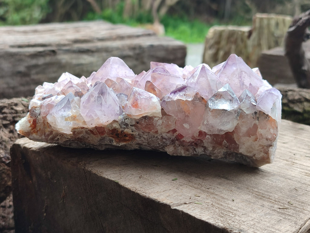 Natural Dark Ametrine Cactus Spirit Quartz Clusters x 2 From South Africa - Toprock Gemstones and Minerals 