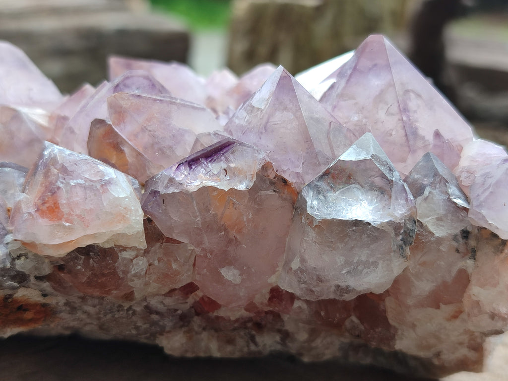 Natural Dark Ametrine Cactus Spirit Quartz Clusters x 2 From South Africa - Toprock Gemstones and Minerals 