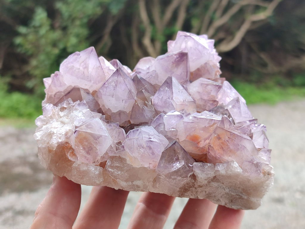 Natural Dark Ametrine Cactus Spirit Quartz Clusters x 2 From South Africa - Toprock Gemstones and Minerals 