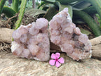 Natural Dark Ametrine Cactus Spirit Quartz Clusters x 2 From South Africa - Toprock Gemstones and Minerals 